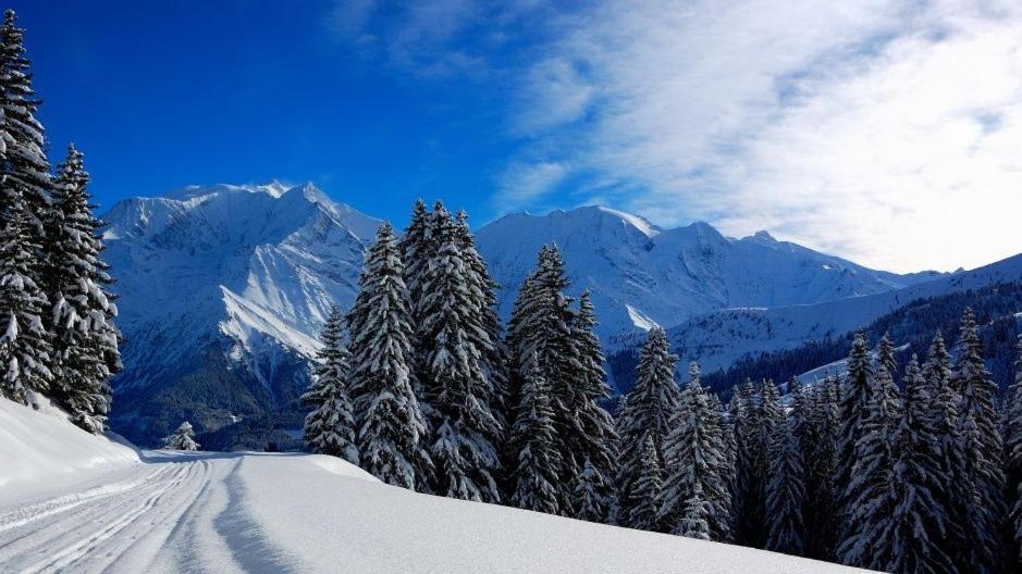 Charmant Mazot Saint-Gervais-les-Bains Kültér fotó